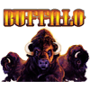 Buffalo