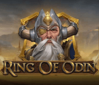 Ring of Odin Logo