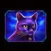 Schwarze Katze
