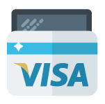 Mit Visa